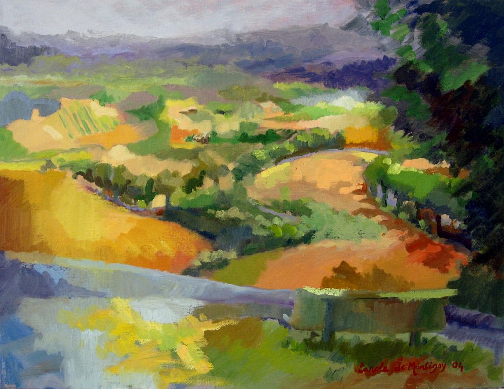 Lointain à Fanjeaux